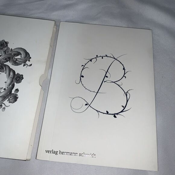 Sagmeister & Walsh: Beauty, Verlag Hermann Schmidt German Language - Picture 4 of 10